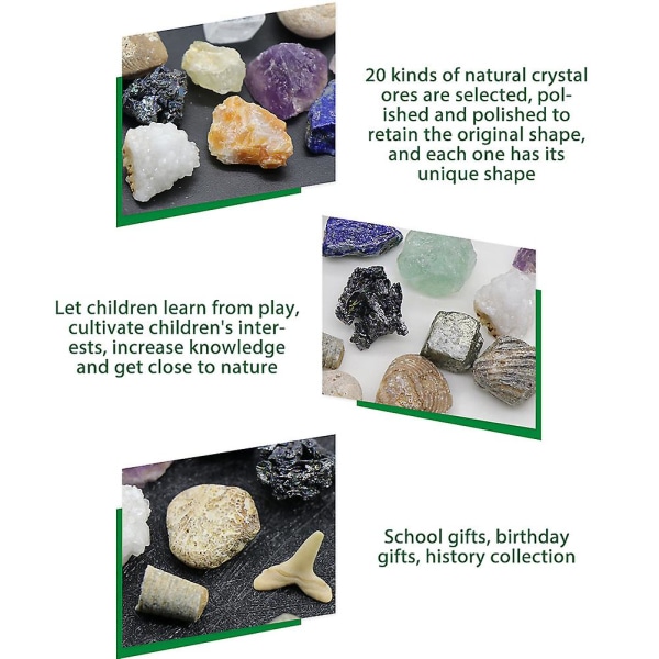 20 erilaista minikokoista luonnon kristalliakaattia kivikiviä mineraaleja fossiileja lapsille opetusmateriaaleja geologian harrastajille keräilylahjoja