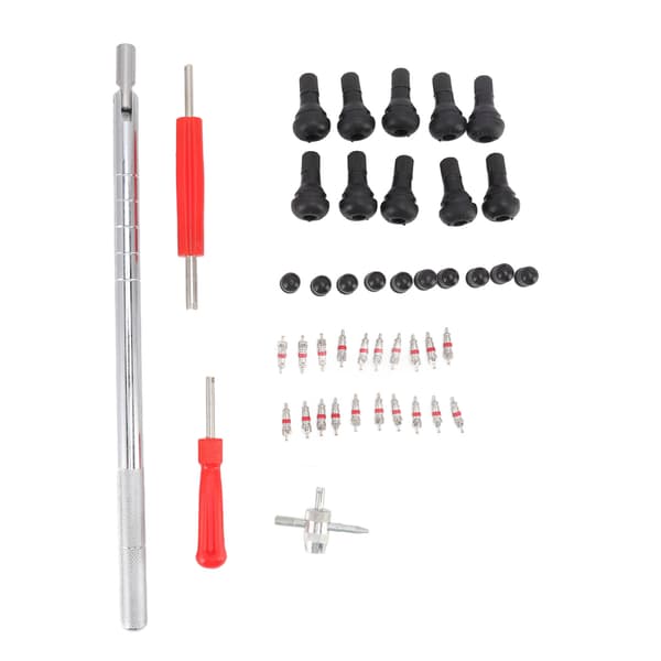Valve Core Remover Tool Set för motorcykel och cykel
