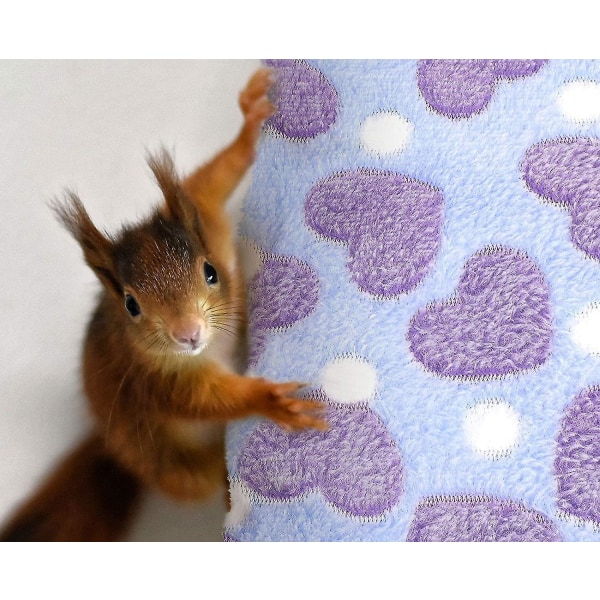 Dubbellager Hamster Värmande Hängmatta Hängande Ekorre Sovsäck - L- Grön Purple