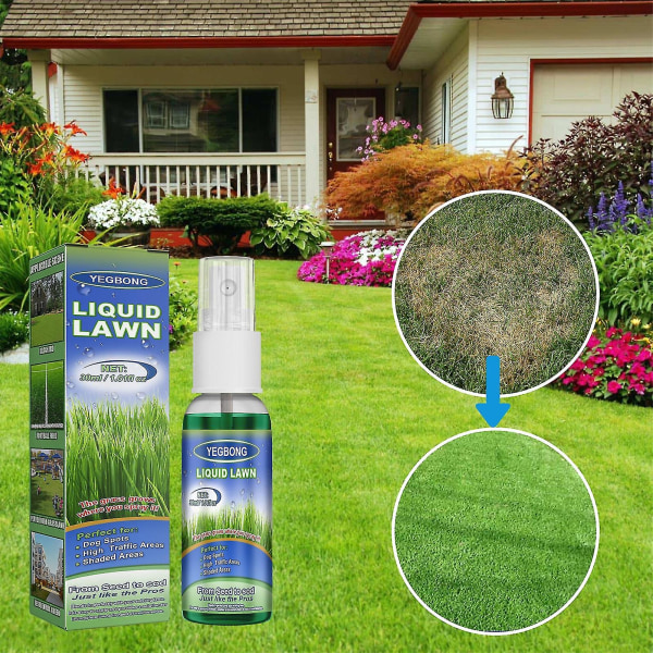 Grästillväxt flytande gräsmatta Spray Förbättra tillväxt Snabbverkande formulering för hemmagräsmatta och platser där