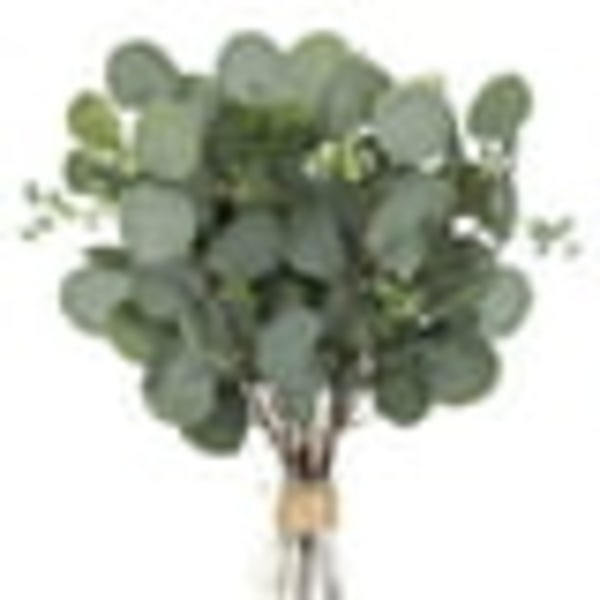 24 stk. 13" høje grønne stilke Falsk eukalyptus med falske sølvdollarblade