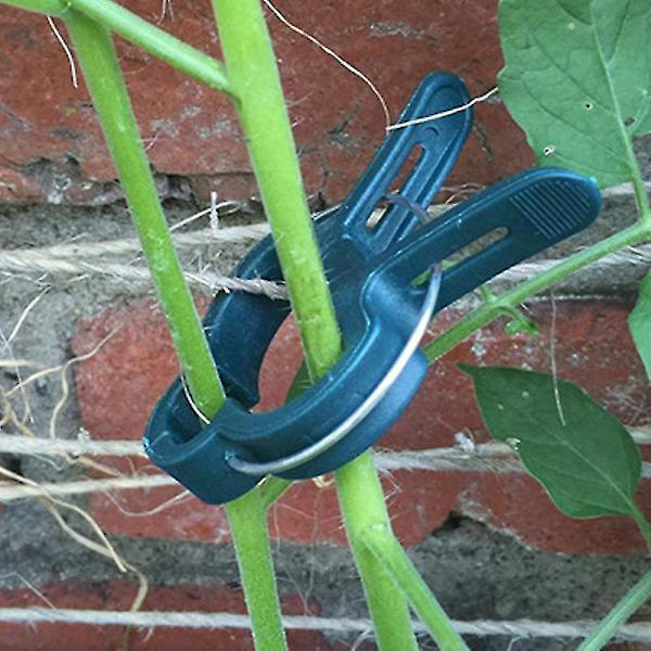 Gardening Plant Flower Gripper Clips til at støtte plantestængler Værktøj Small and Large Small 10Pcs and Large 10Pcs