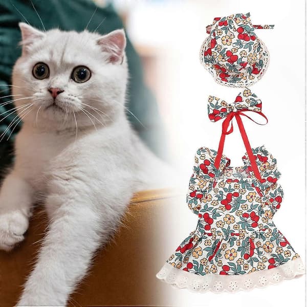 Blommig kostym för små katter med klänning och hatt White M