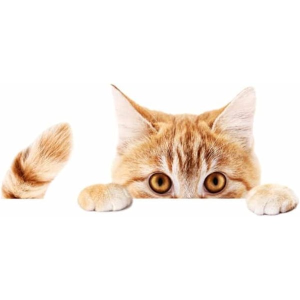 3D Kitten Car Sticker, Funny Animal Personality Decal Car Stickers
