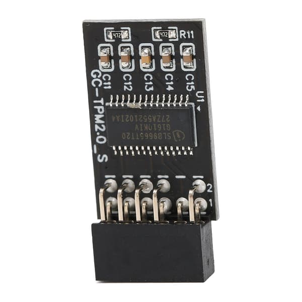 High Security Remote Card Encryption Security Module til GIGABYTE 12Pin LPC Interface