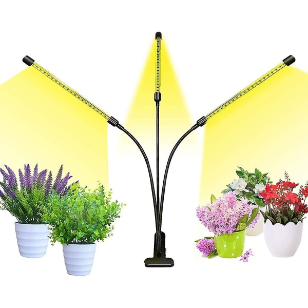 Täysispektri kasvikasvatusvalo LED-kasvin täyttövalo 30 w:n muistisyklin ajoitus sisätilojen mehikasvien valo