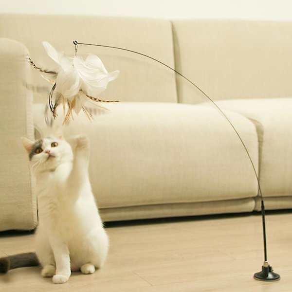 Cat Toys Interactive Feather Toys Sugkoppar Husdjur inomhusleksaker