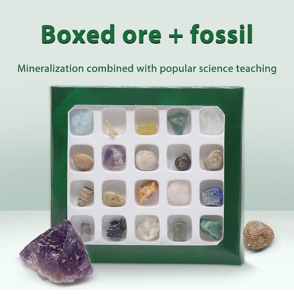 20 erilaista minikokoista luonnon kristalliakaattia kivikiviä mineraaleja fossiileja lapsille opetusmateriaaleja geologian harrastajille keräilylahjoja