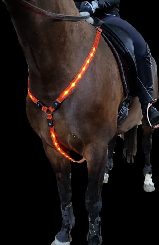 【BQ】LED-brystsele til hest. GENOPLADELIG. PONY/COB