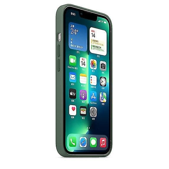 【BQ】Silikonecover Kompatibel med iPhone 13 Pro 13pro-Perfekt Eucalyptus