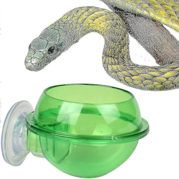 2 st sugkopp reptilmatare Anti-escape Reptil matskål (grön)