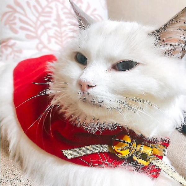 Katt Julekostyme Jul Katt Kapp Kattekappe Dyreklær til jul