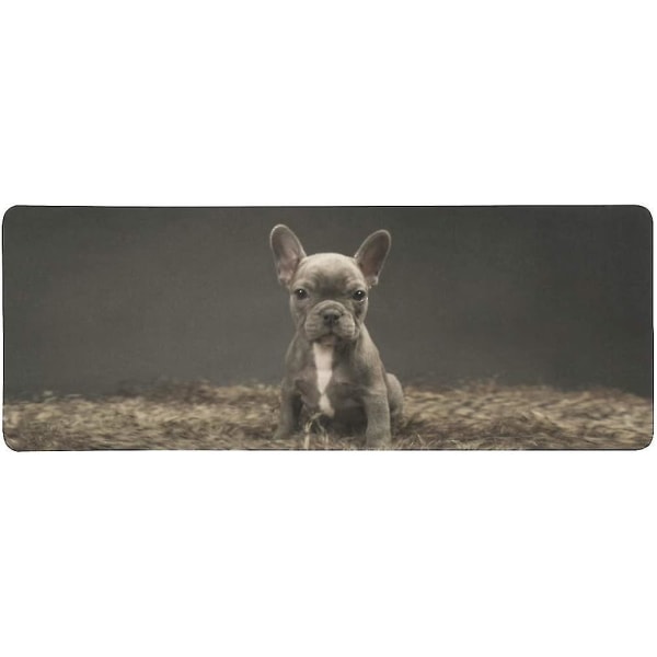 Baby ranskanbulldoggi söpö pentu Extra pidennetty suuri pelihiirimatto pöytänäppäimistö matto 31,5x12 tuumaa