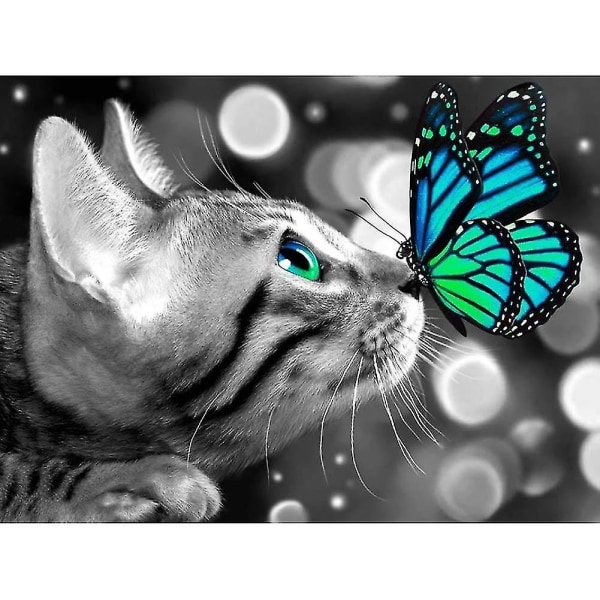 Katt Diamond painting Fjäril Katt Diamantkonst Söt djur Kitty Diamond painting för vuxna barn 12x16 tum
