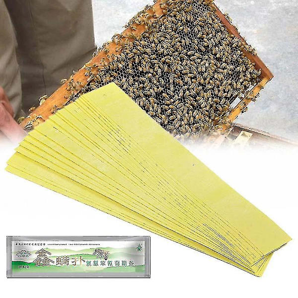 20 kpl/pussi Varroa Strips Fluvalinate Bee Mite Killer Hoitotyökalu Mehiläishoidon tuholaistorjunta
