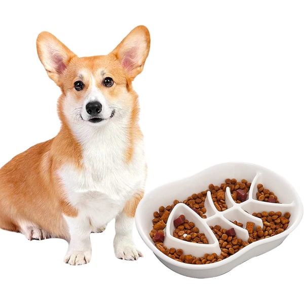 Hund Slow Feeder Keramisk Kattskål Skål Matning För Valp Diet
