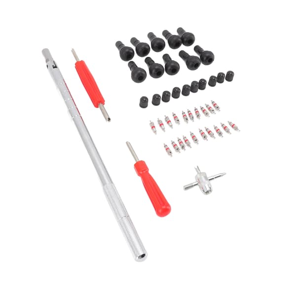 Valve Core Remover Tool Set för motorcykel och cykel