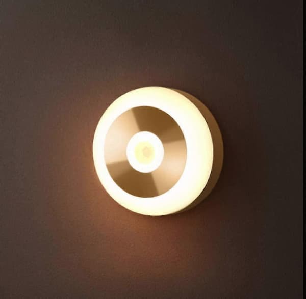 Monteret induktiv lampe til Intellint Absorpt LED varm