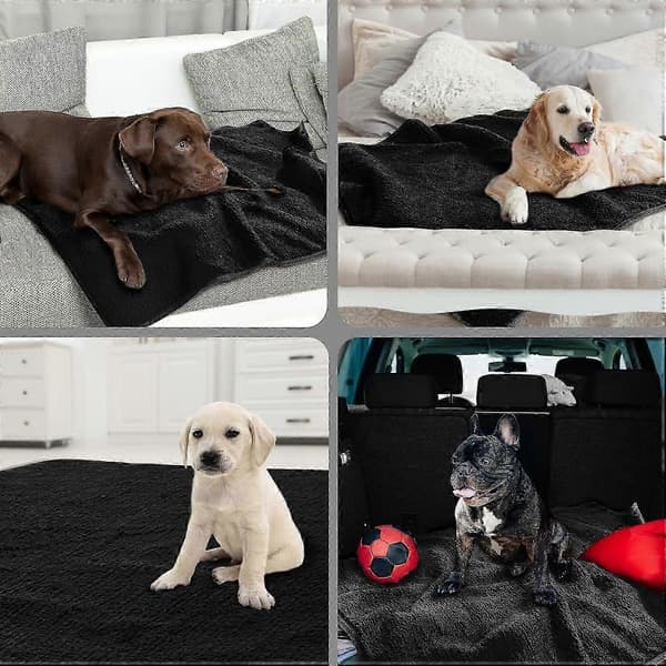 Tuggsäker hundfilt för hundar, läckagesäker mjuk pälsfilt, soffskydd