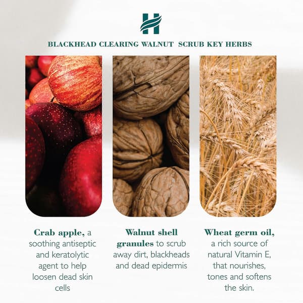 【BQ】Himalaya Blackhead Clearing Walnut Scrub - 75ml