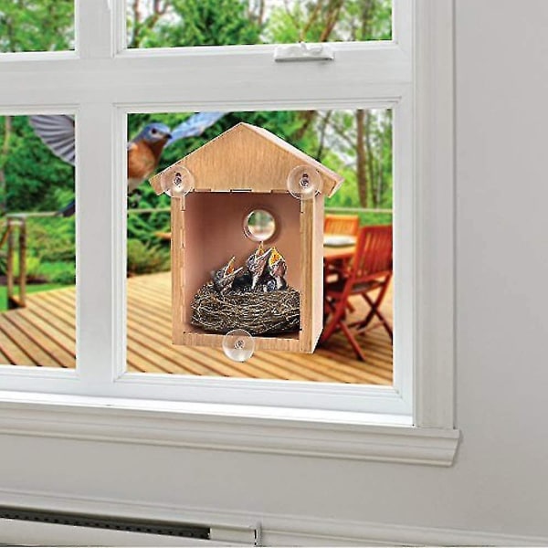 Villilintujen tarkkailupesälaatikkosetti Birdhouse Set , jossa on vakoiluikkuna ja yksisuuntainen