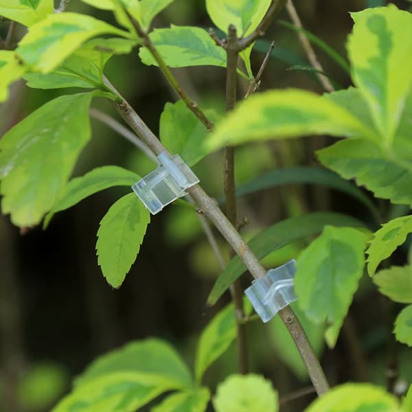 Graftingklips for tomat- og aubergineplanter 100 stk