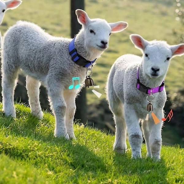 【BQ】5-pack Goat Collars (with Bells), Compatible with Small Pets, Sheep, and Cattle