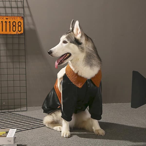 【BQ】Pet Clothes Winter Warm Clothes For Large Dog Cool Leather Jacket Coat 7XL