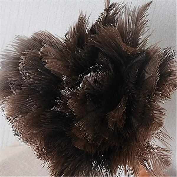 Feather Duster Strutsi Bambu Kahva Feather Duster Strutsi