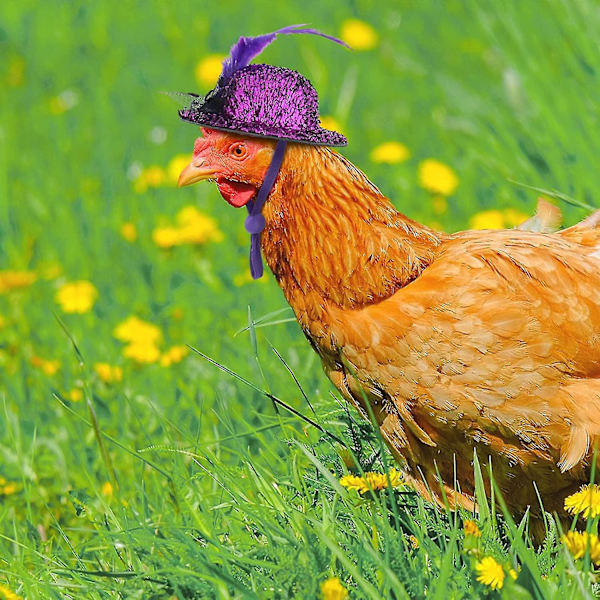 Pieces Kyllinghatter til høner Tiny Pets Funny Chicken Accessories Fea