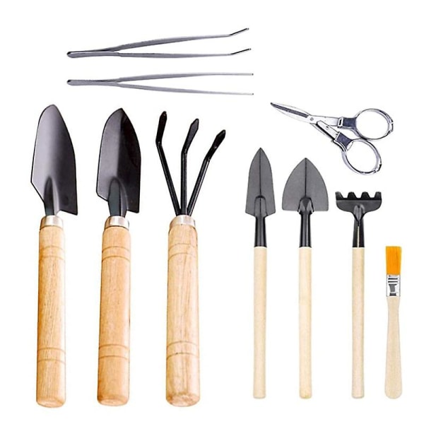 10-delat set med B-planteringsverktyg för suckulenter Trädgårdsarbete 10-delat set B Gardening 10-piece set B