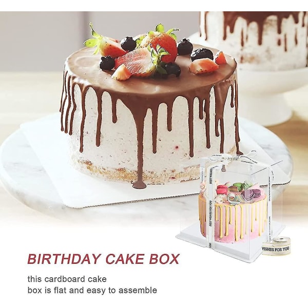 Transparent Cake Box Klar Cake Box Plast presentförpackning med lock dubbla lager