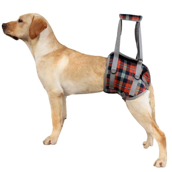 Pet Ben Bälte Plasser utskrift Justerbar polyester Avtagbar hundlyft sele for återhämtning Orange Plaid XL