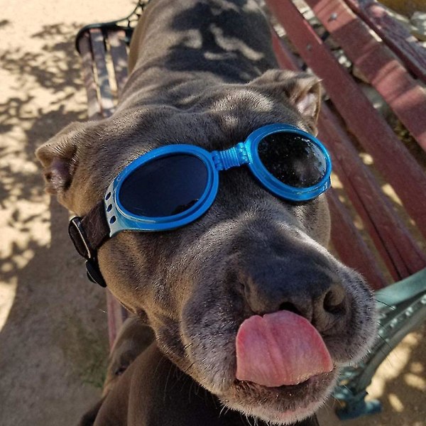 Pet solbrille med rem, hund Uv briller med hagerem Justerbar, anti