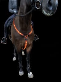 【BQ】LED-brystsele til hest. GENOPLADELIG. PONY/COB