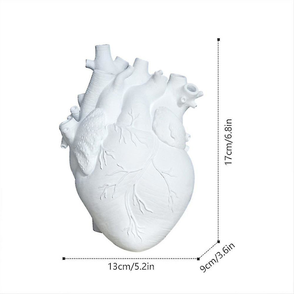 Anatomisk hjärtform Vas Harts Blomkruka Ornament Art Heminredning