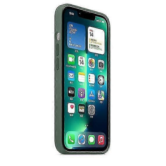 【BQ】Silikonikuori MagSafella iPhone 13 Prolle Eucalyptus