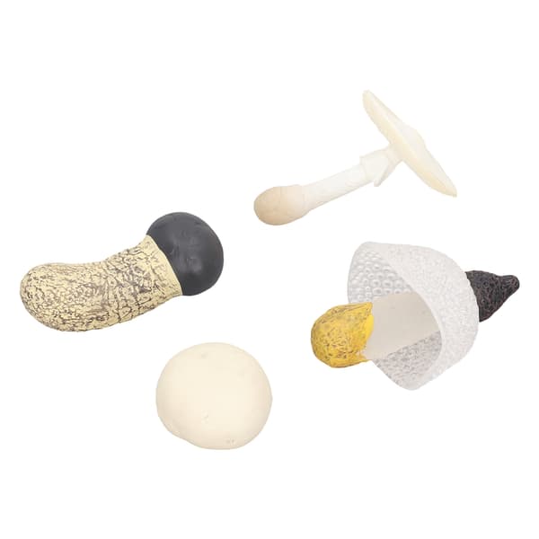 4-pack Miniatyr Svampmodell Set Hög Simulation Svampfigurer Dekoration för Utbildning Typ 3