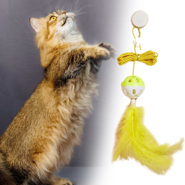 Kattleksakssugkopp med hög elasticitet Rephängande simulering Caterpillar kattleksak för inomhusstad Random Color