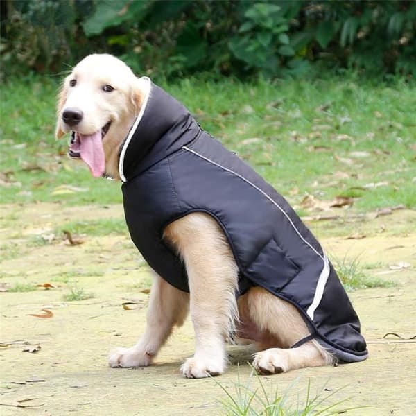 Hundedekken - Uspesifisert - Størrelse S - Vanntett - Reflekterende - Justerbart