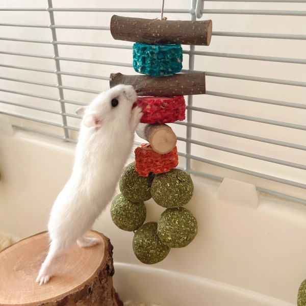 Hamsteri Tuggleksak Kaniner Bunny Chew Leksaker Poskitanko Tänder Rengöring Friskt gräs Pallohamsteri Leksak Djurtillbehör Stad Random Color A