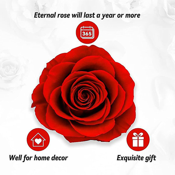Eternal Real Rose med I Love You halskæde, bevarede rosenblomster smykkegave