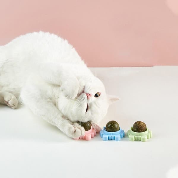 2-pack - Kattmynta Boll - Självhäftande Kattleksak multifärg multicolor