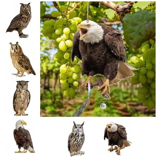 Bird Scarer with Bells - Bird Repellent Owl Rectangular Hanging