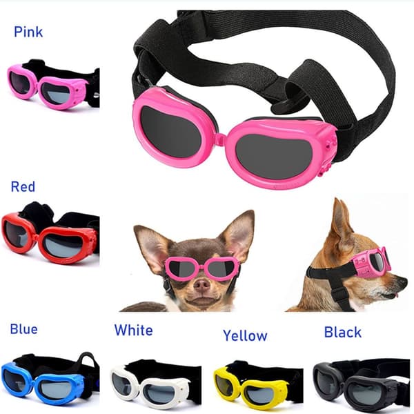 Små Hunde Solbriller Goggles SVART black