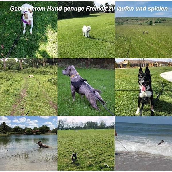 Meter Long Dog Leash, Training Leash, Suitable for Hiking, Camping, Training, and Beach Activities.