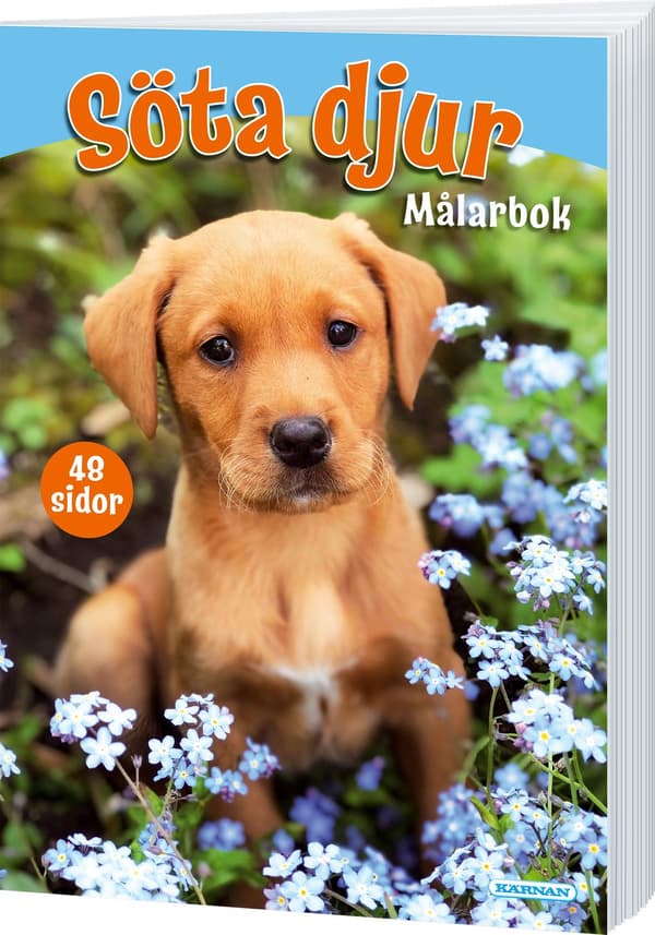 Søte Dyr Malebok multifarge multicolor Multifärg