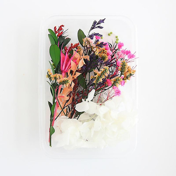 Sett med tørkede blomsterblader for DIY-håndverk, kunst, blandet flere tørkede blomster for stearinlys, harpiks, smykker