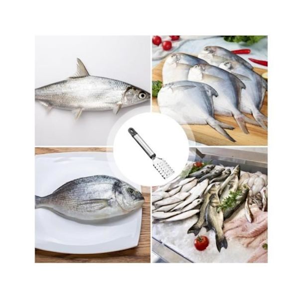 Fiskskrapa - Rostfritt stål - Ergonomisk design - Med förvaringskrok