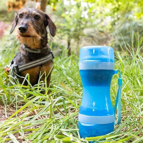 Bärbar Vattenflaska och Matskål för Hund blue Blå